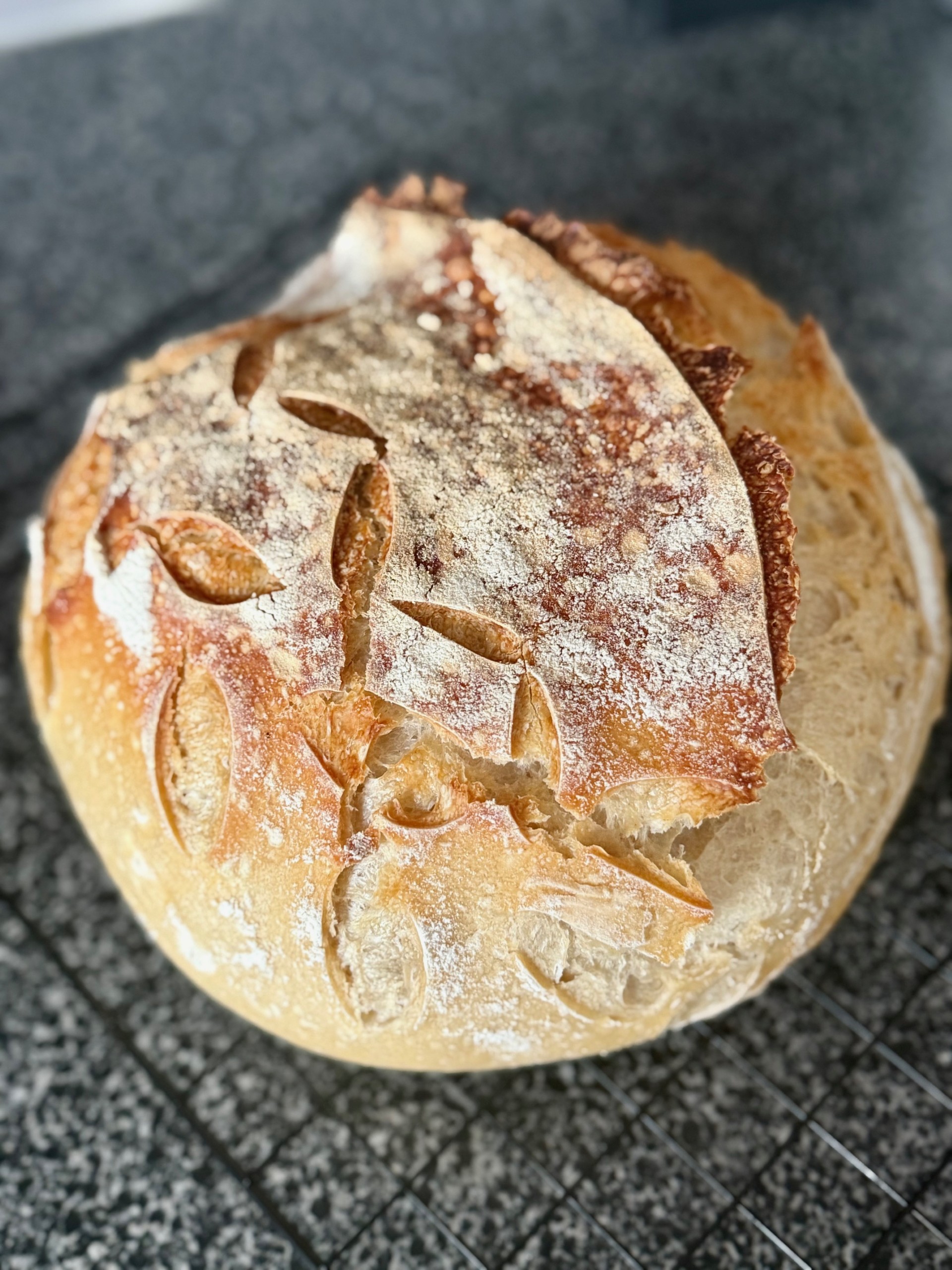 sourdough bread loaf