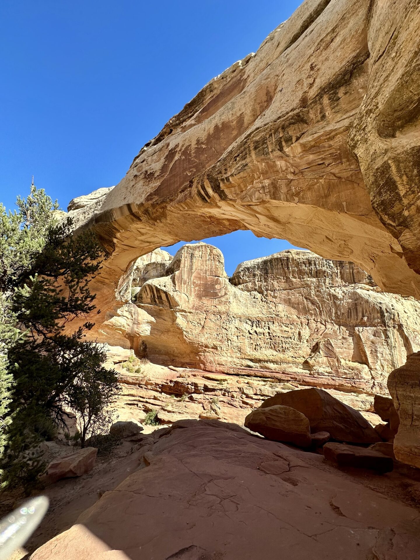 travel recap, capitol reef national park